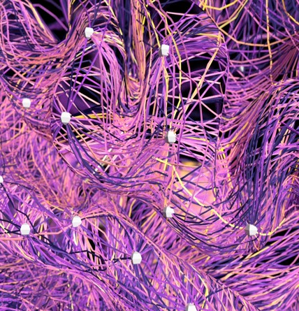 computer generated image of brain networks